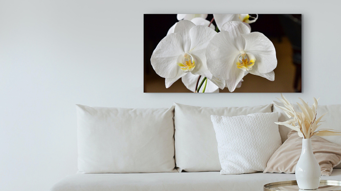 Impresión en canvas en panama